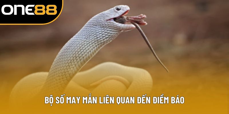 Bộ số may mắn liên quan đến điềm báo