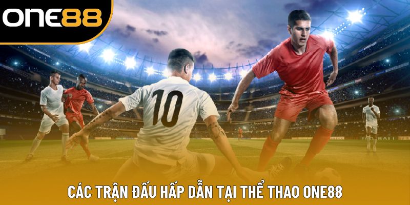Các trận đấu hấp dẫn tại thể thao ONE88