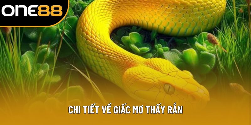 Chi tiết về giấc mơ thấy rắn