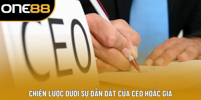 Chiến lược dưới sự dẫn dắt của Ceo Hoắc Gia