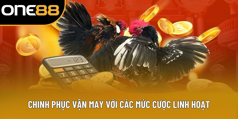 Chinh phục vận may với các mức cược linh hoạt