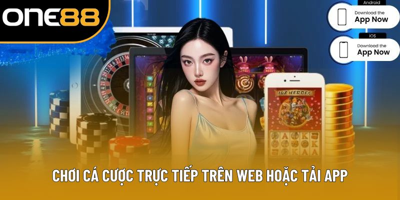 Chơi cá cược trực tiếp trên web hoặc tải app