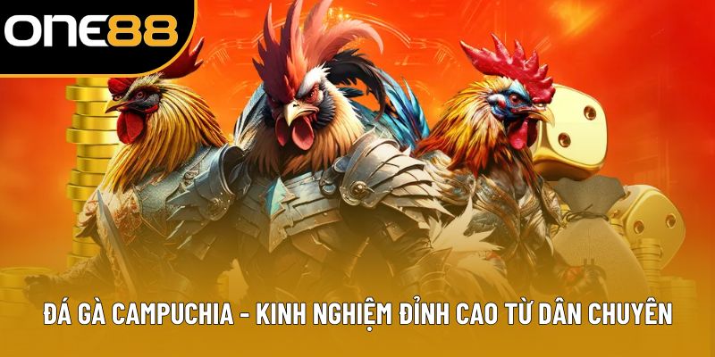 Đá Gà Campuchia - Kinh Nghiệm Đỉnh Cao Từ Dân Chuyên