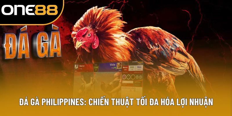 Đá Gà Philippines: Chiến Thuật Tối Đa Hóa Lợi Nhuận