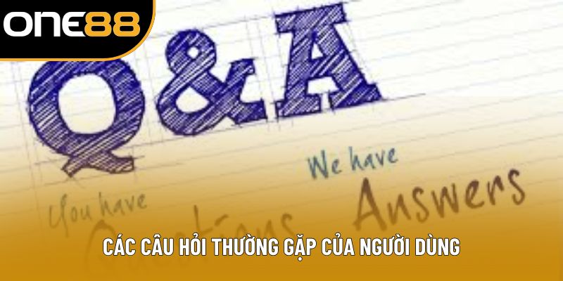 Các câu hỏi thường gặp của người dùng
