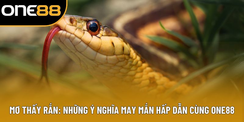 Mơ Thấy Rắn: Những Ý Nghĩa May Mắn Hấp Dẫn Cùng ONE88