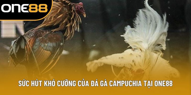 Sức hút khó cưỡng của đá gà Campuchia tại ONE88