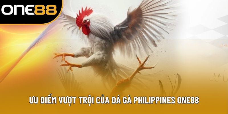 Ưu điểm vượt trội của đá gà Philippines ONE88 Ưu điểm vượt trội của đá gà Philippines ONE88